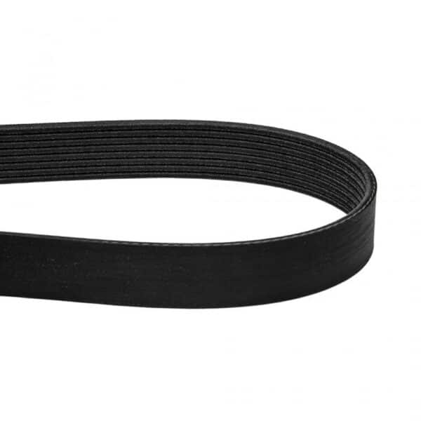 BELT,SERPENTINE