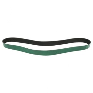 BELT,SERPENTINE